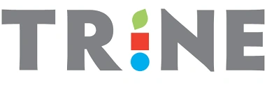 Trine Infrastructure and Lease LLP